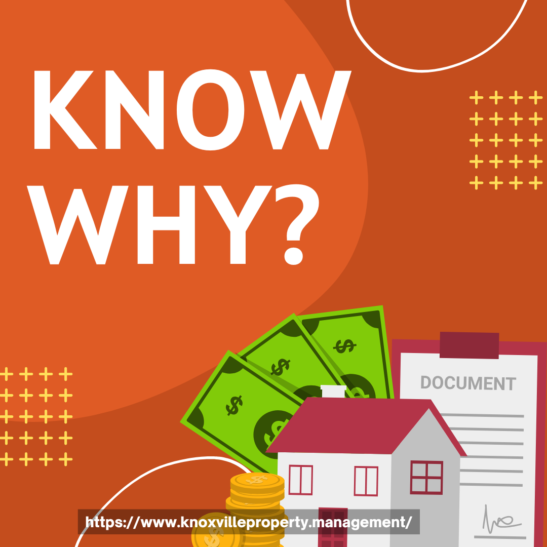 Why Knoxville Is Now One of the Most Popular Housing Markets in the U.S.